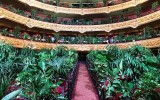 Il Teatro dell'Opera di Barcellona riapre per un pubblico...di piante